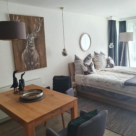 Maurers Schlierseetraum 6, Studio 455 Mit 42 Qm Neu Renoviert, Erdgeschoss Mit Eingezaeunter Terrasse In Ruhiger Lage Am Kirchbichlweg 8 Zewnętrze zdjęcie