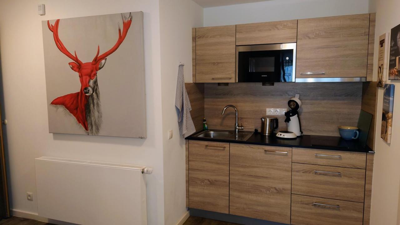 Maurers Schlierseetraum 6, Studio 455 Mit 42 Qm Neu Renoviert, Erdgeschoss Mit Eingezaeunter Terrasse In Ruhiger Lage Am Kirchbichlweg 8 Zewnętrze zdjęcie