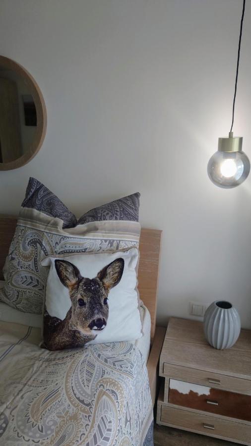 Maurers Schlierseetraum 6, Studio 455 Mit 42 Qm Neu Renoviert, Erdgeschoss Mit Eingezaeunter Terrasse In Ruhiger Lage Am Kirchbichlweg 8 Zewnętrze zdjęcie