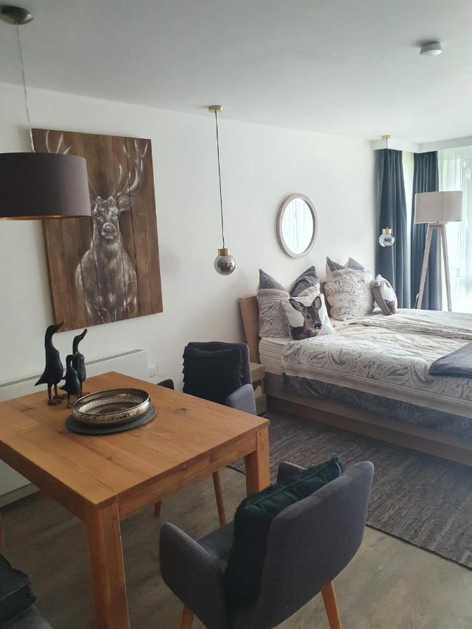 Maurers Schlierseetraum 6, Studio 455 Mit 42 Qm Neu Renoviert, Erdgeschoss Mit Eingezaeunter Terrasse In Ruhiger Lage Am Kirchbichlweg 8 Zewnętrze zdjęcie
